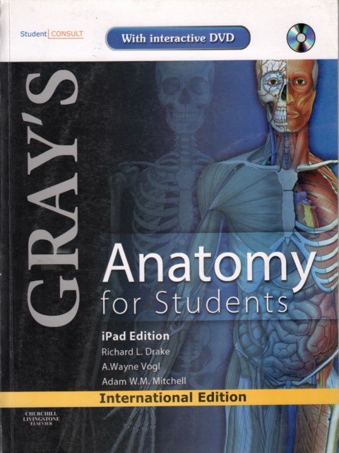 GRAY'S Anatomy for Students