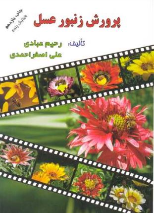 پرورش زنبورعسل رحیم عبادی 