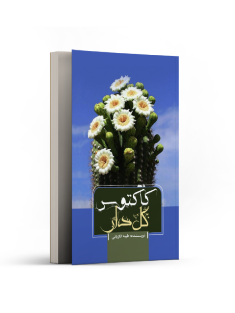 کاکتوس گل‌ دار اثر طیبه انگزبانی