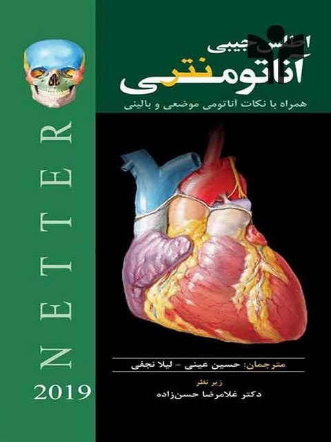 اطلس جیبی آناتومی نتر 2019 ترجمه حسن زاده نشر ابن سینا