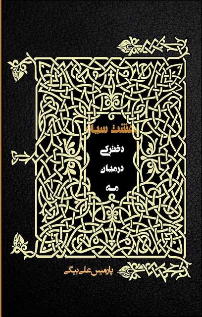 دخترکی در میان مه (بهشت سیاه ) نویسنده پارمیس علی بیگی