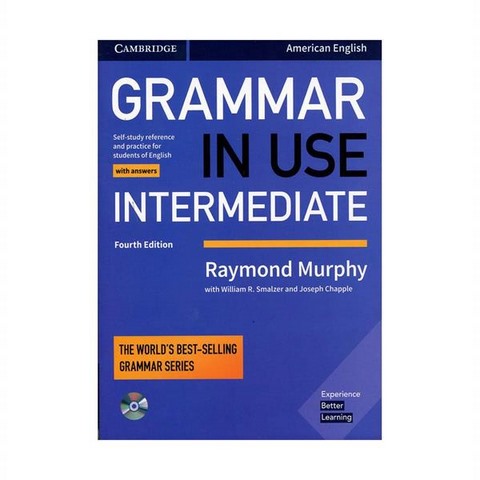 grammar in use intermediate fourth edition