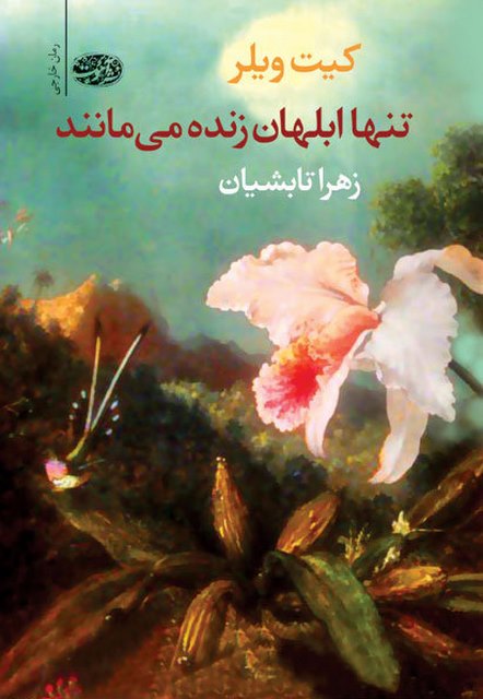 تنها ابلهان زنده می مانند نویسنده کیت ویلر مترجم زهرا تابشیان