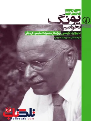 چگونه یونگ بخوانیم اثر دیوید تیسی ترجمه سپیده حبیب چگونه یونگ بخوانیم اثر دیوید تیسی ترجمه سپیده حبیب