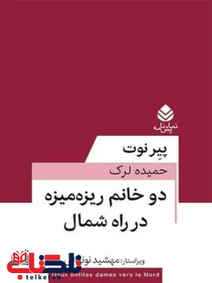 دو خانم ریزه‌میزه در راه شمال