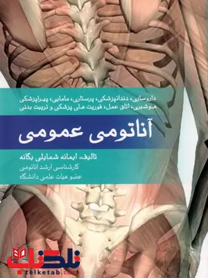 آناتومی عمومی شمایلی یگانه آناتومی عمومی شمایلی یگانه