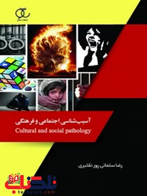 آسیب شناسی فرهنگی و اجتماعی نویسنده رضا سلمانی پور نقلبری آسیب شناسی فرهنگی و اجتماعی نویسنده رضا سلمانی پور نقلبری