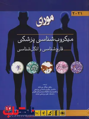 میکروب شناسی پزشکی مورای قارچ شناسی و انگل شناسی 2021 ترجمه جلال مردانه میکروب شناسی پزشکی مورای قارچ شناسی و انگل شناسی 2021 ترجمه جلال مردانه