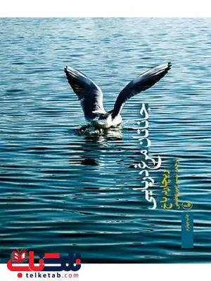جاناتان مرغ دریایی نویسنده ریچارد باخ مترجم نسیم امیرعظیمی جاناتان مرغ دریایی نویسنده ریچارد باخ مترجم نسیم امیرعظیمی