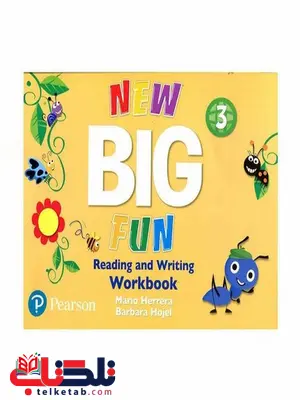 new big fun 3 reading and writing workbook