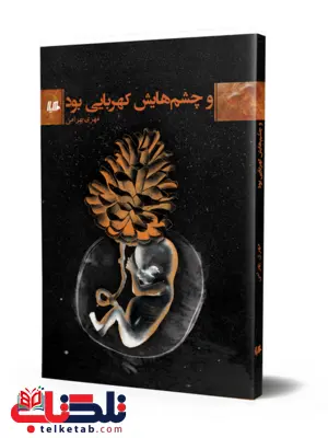 و چشم هایش کهربایی بود نویسنده مهری بهرامی نشرهیلا و چشم هایش کهربایی بود نویسنده مهری بهرامی نشرهیلا