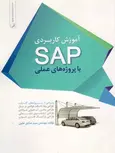 آموزش کاربردی SAP با پروژه های عملی صادق علوی نشرنوآور