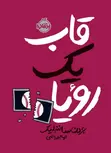 قاب یک رویا اثر جردن ساننبلیک ترجمه الهام فیاضی