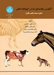 آناتومی مقایسه ای تنه در حیوانات اهلی نویسنده حسین گیلانپور و بیژن رادمهر