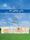 زندگی مولکولی گیاه نویسنده جونز راسل مترجم علی احمدی و علی نادری