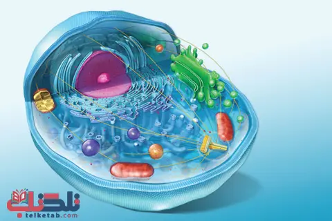 اهمیت مطالعه کتاب درسی زیستشناسی در کنکور