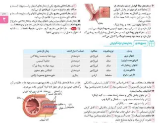 تلکتاب درسنامه زیست جامعه مهروماه