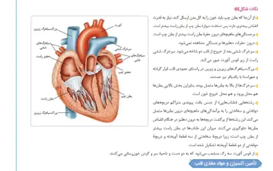 زیست شناسی جامع کنکور خیلی سبز