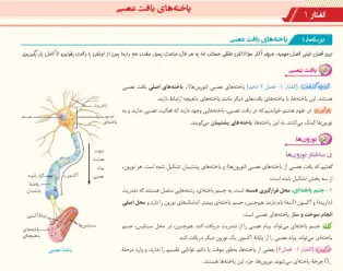 زیست شناسی یازدهم میکرو طبقه بندی گاج تلکتاب