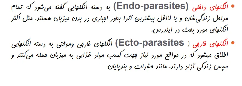 بخشی از کتاب