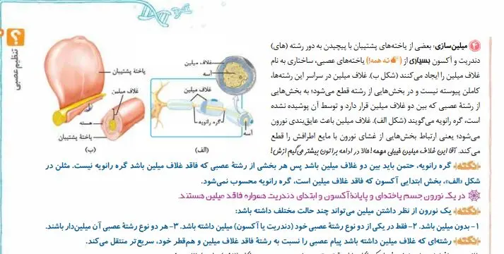 قسمتی از درسنامه زیست 11 خیلی سبز