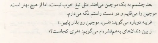 بخشی از کتاب 