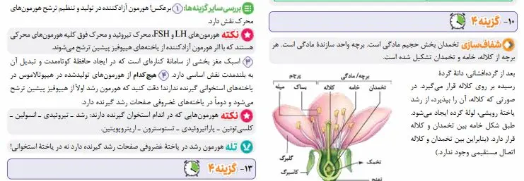 پاسخ چند کنکور تجربی