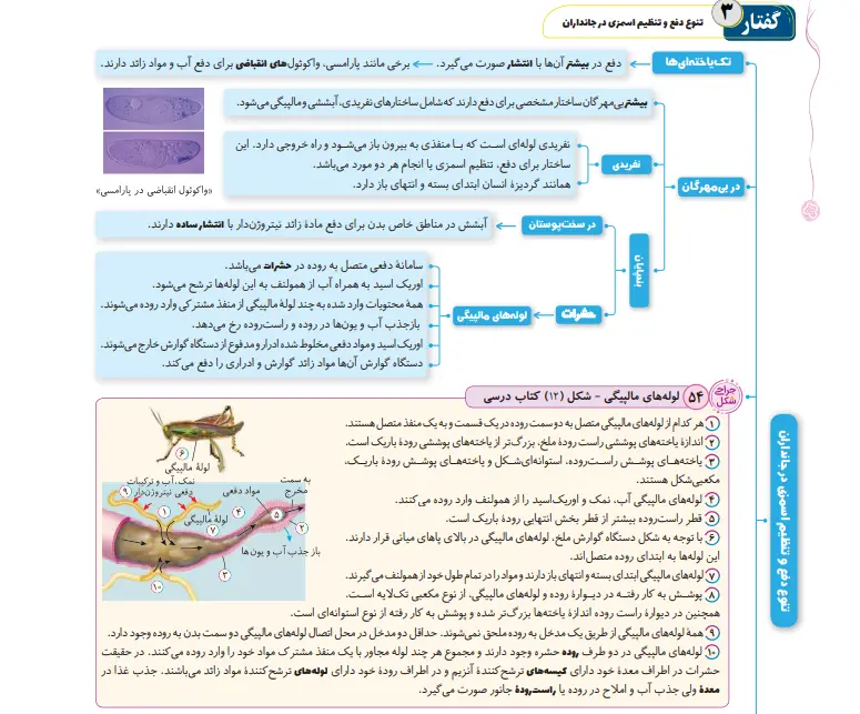بخشی از کتاب