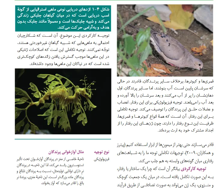 بخشی از کتاب 